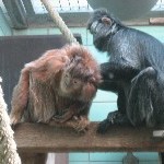 IMG_0720.jpg