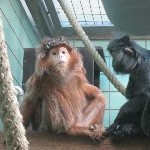 IMG_0722.jpg