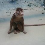 IMG_0725.jpg