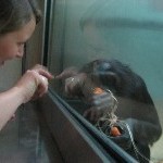 IMG_0733.jpg