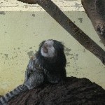 IMG_0739.jpg