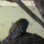 IMG_0740.jpg