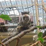 IMG_0741.jpg