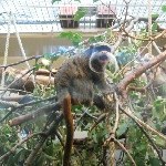 IMG_0743.jpg