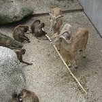 IMG_0752.jpg