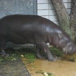 IMG_0754.jpg