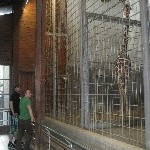 IMG_0756.jpg