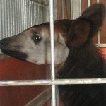 IMG_0758.jpg