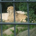 IMG_0760.jpg