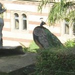 IMG_0761.jpg