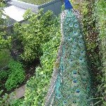 IMG_0774.jpg