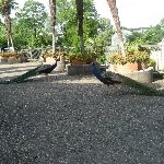 IMG_0780.jpg