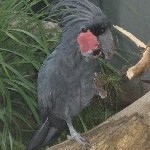 IMG_0784.jpg