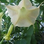 IMG_0786.jpg