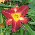 IMG_0787.jpg