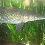 IMG_0788.jpg