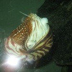 IMG_0790.jpg