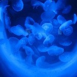 IMG_0792.jpg