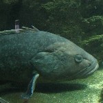 IMG_0796.jpg