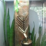 IMG_0798.jpg