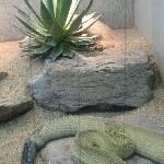 IMG_0800.jpg