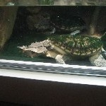 IMG_0801.jpg