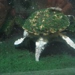 IMG_0802.jpg