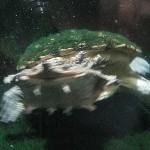 IMG_0803.jpg