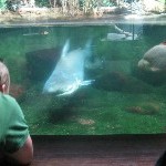 IMG_0806.jpg