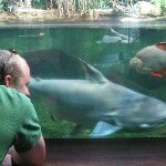 IMG_0807.jpg