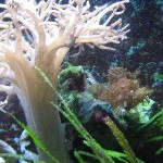 IMG_0809.jpg