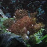 IMG_0810.jpg