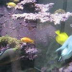 IMG_0812.jpg