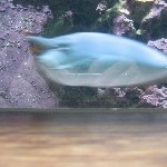 IMG_0813.jpg