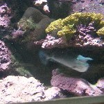 IMG_0815.jpg