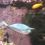 IMG_0817.jpg