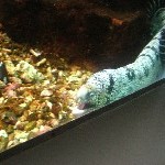 IMG_0820.jpg