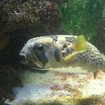 IMG_0821.jpg