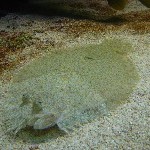 IMG_0822.jpg