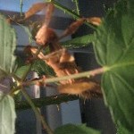 IMG_0824.jpg