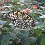 IMG_0830.jpg