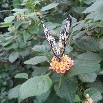IMG_0836.jpg