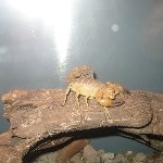 IMG_0843.jpg