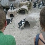 IMG_0846.jpg
