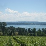 IMG_0856.jpg