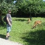 IMG_0886.jpg