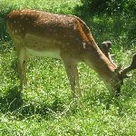IMG_0888.jpg