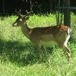 IMG_0889.jpg