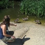 IMG_0890.jpg