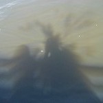 IMG_0891.jpg